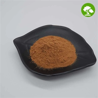 Coptis Chinensis ekstrakta pulveris